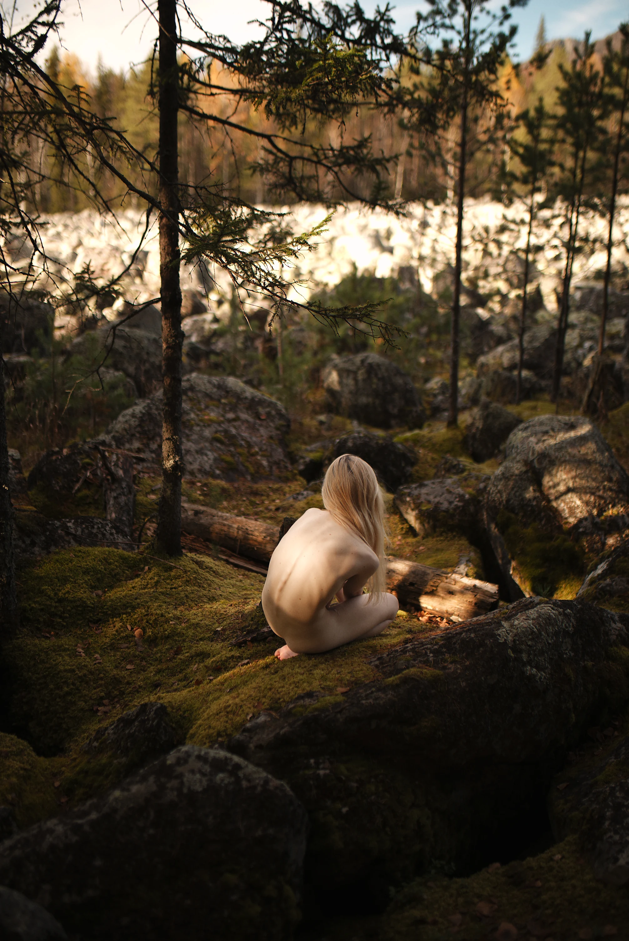 POCROV forest study